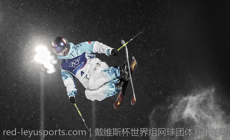 戴维斯杯世界组网球团体赛中的明星球员与精彩表现