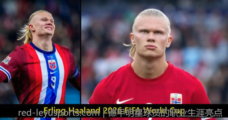 乐鱼app为用户提供的娱乐选择