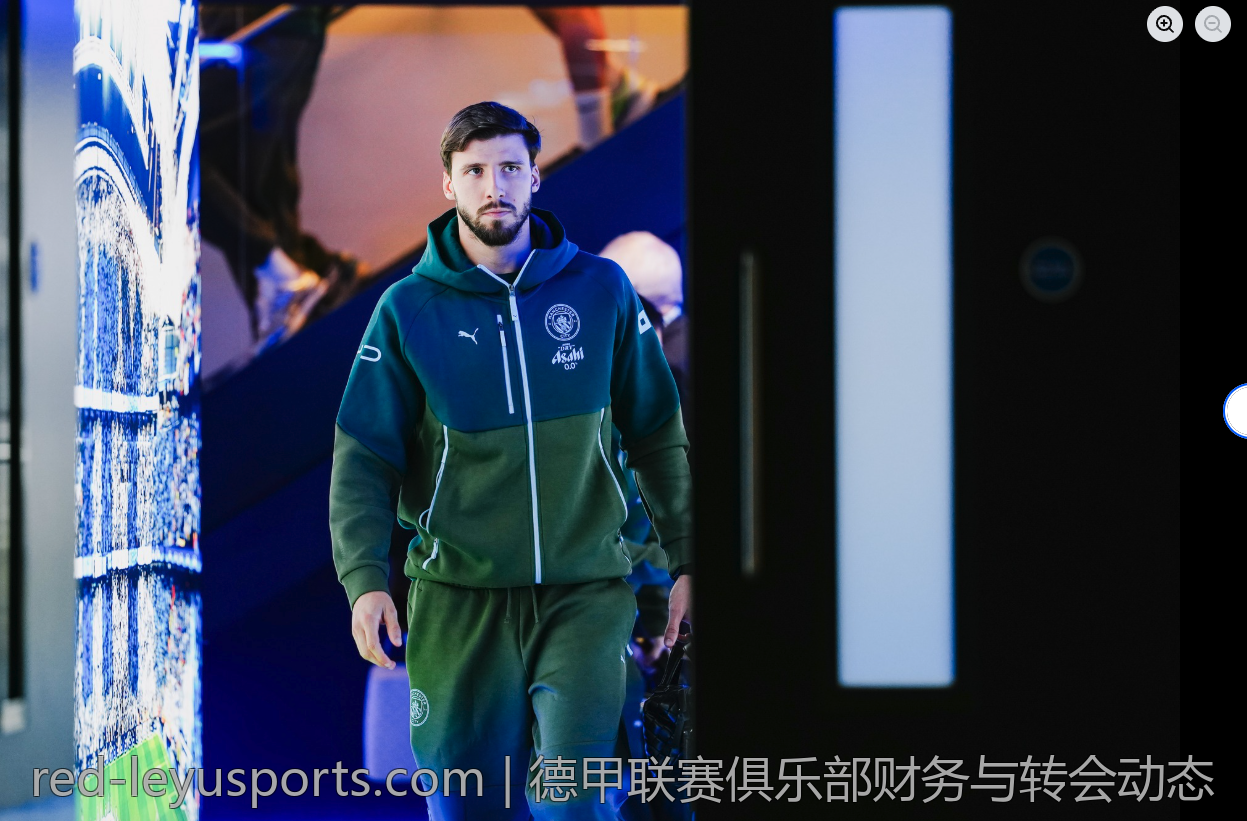 德甲联赛俱乐部财务与转会动态